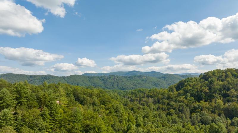 Black Bear Falls - image 34