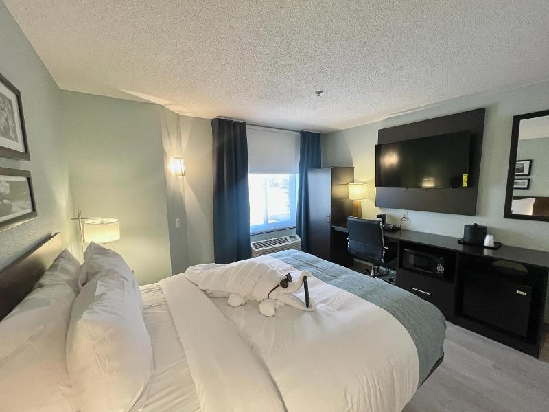 Queen Room with Roll-in Shower - Mobility Access/Non-Smoking image 3