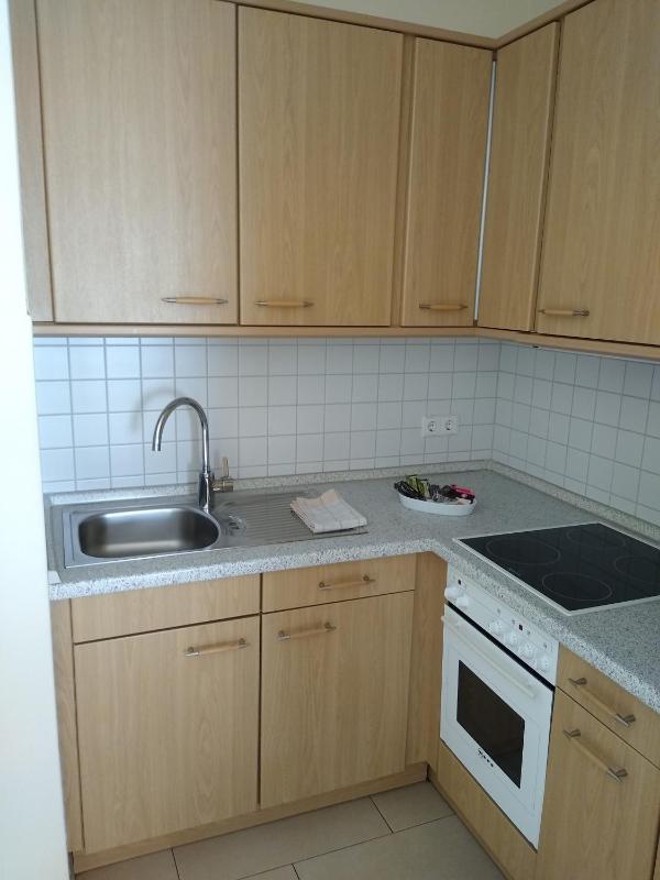 One-Bedroom Apartment image 3
