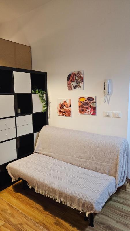 Studio with Balcony image 3