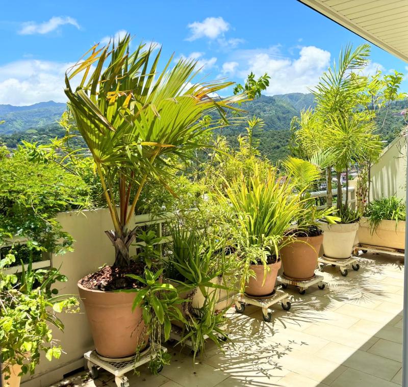 Duplex design sea view - image 6