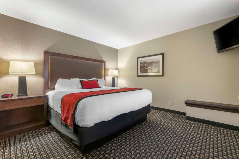 Standard King Suite with Sofa Bed - Non-Smoking image 2