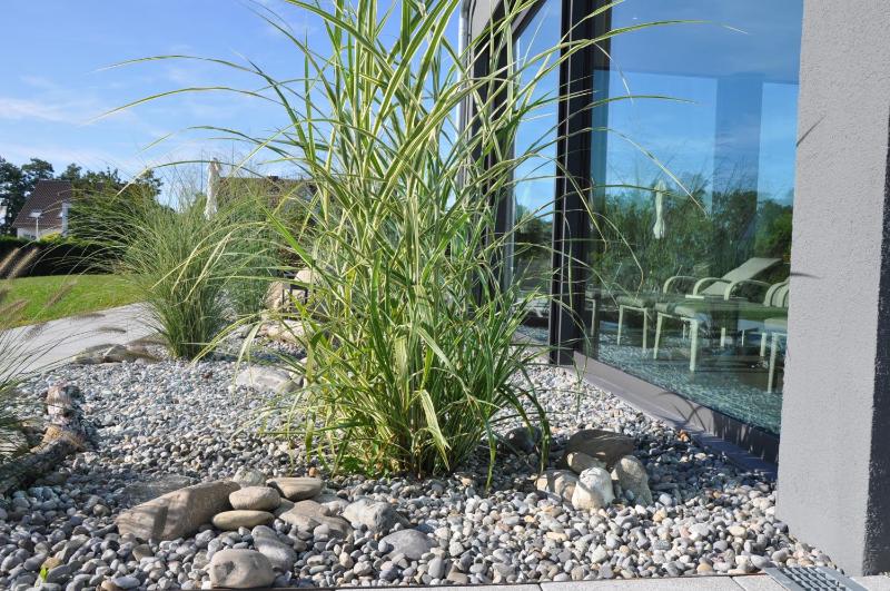 Hotel Traube am See - image 12