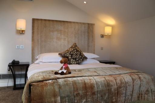 Junior Suite image 4