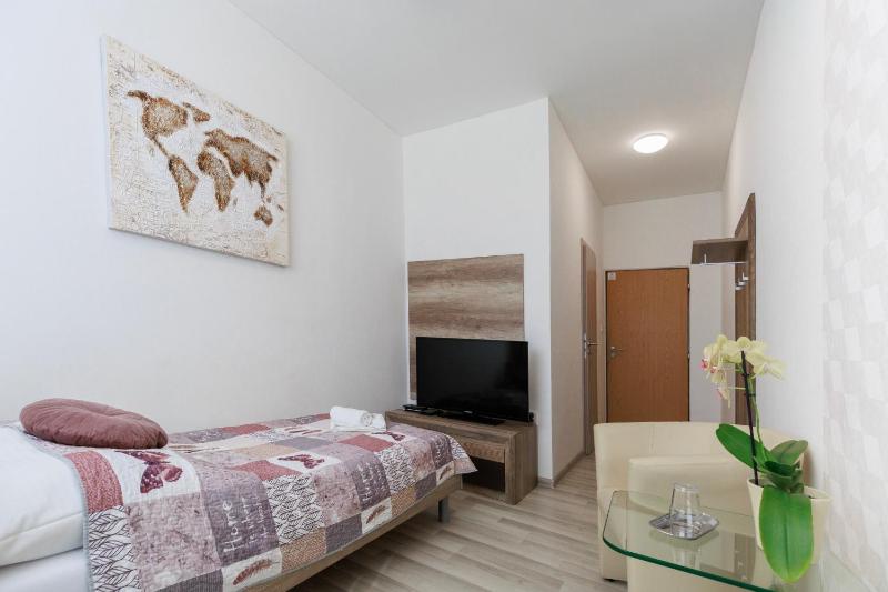 Superior Single Room image 4