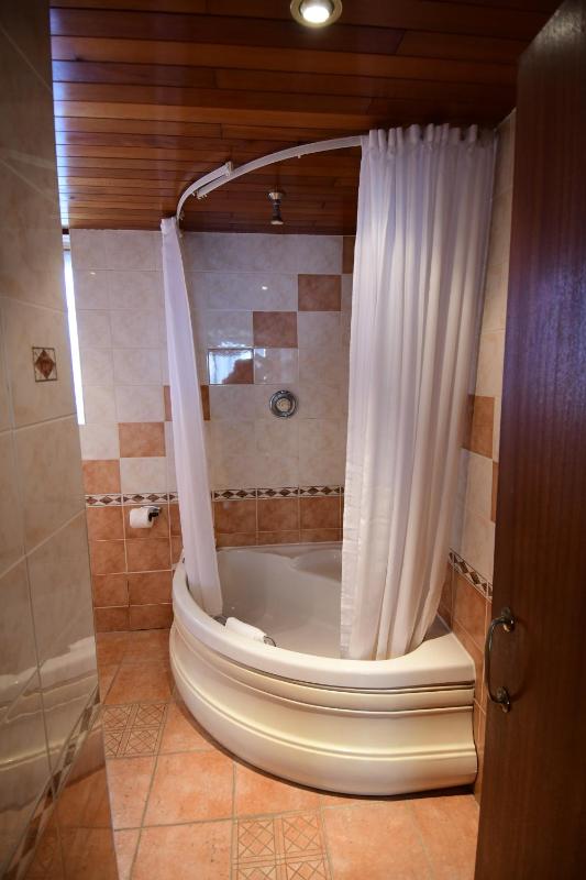 Deluxe Double Room image 2