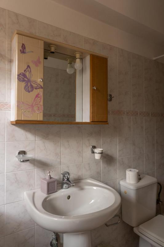 Studio Apartment image 4