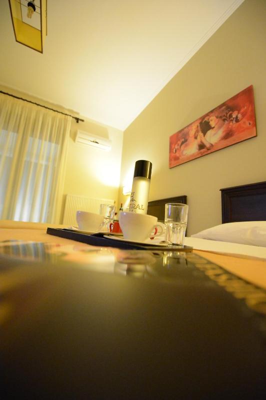 Double or Twin Room image 3