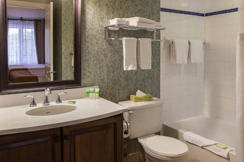 Holiday Inn Express & Suites Tremblant By IHG - image 43