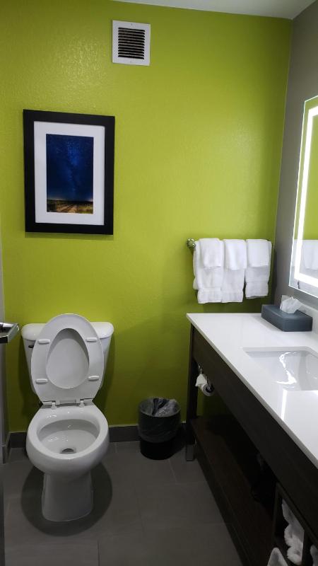 Deluxe King Room image 4