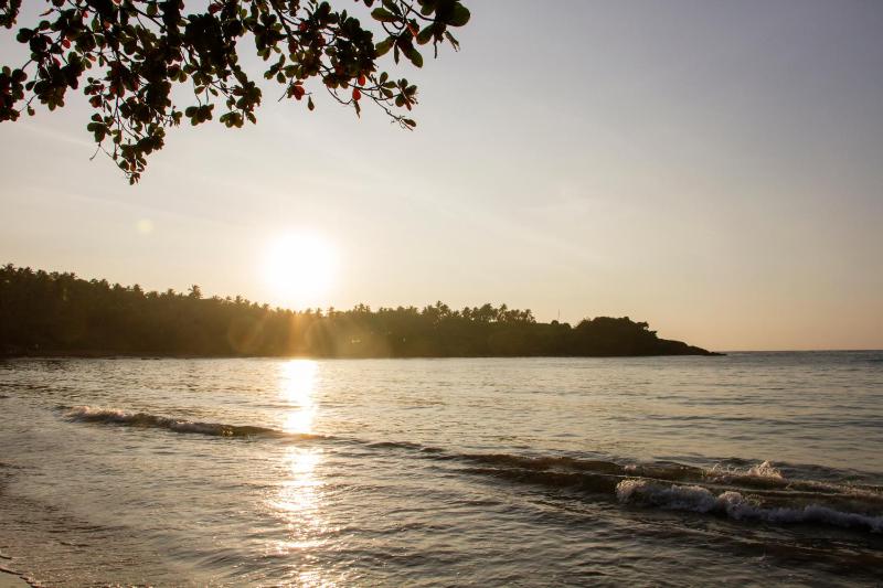 The Saffron House - image 44