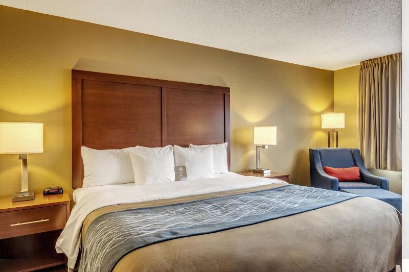 King Room - Non-Smoking image 3