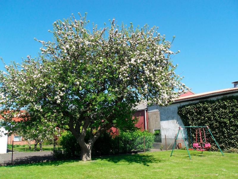 Ferienhof Manowski Nr2 - image 3