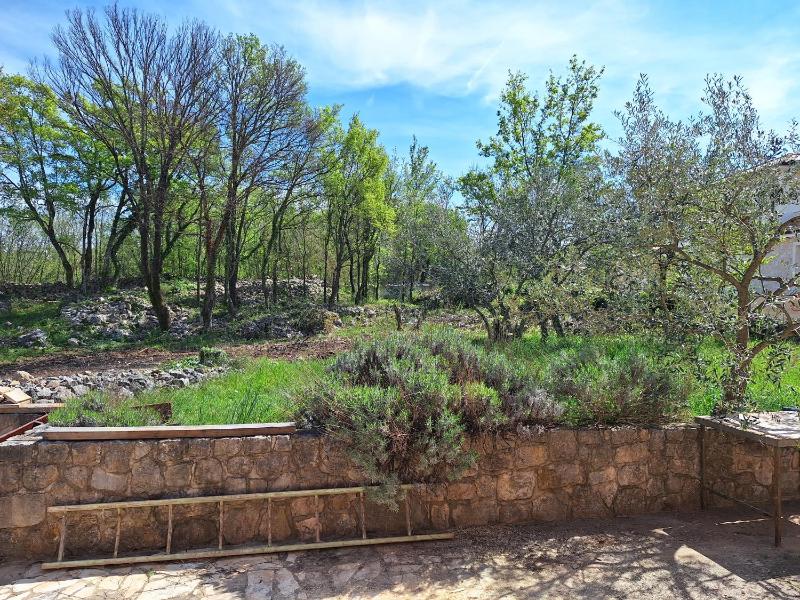 Vila Ulika - image 5