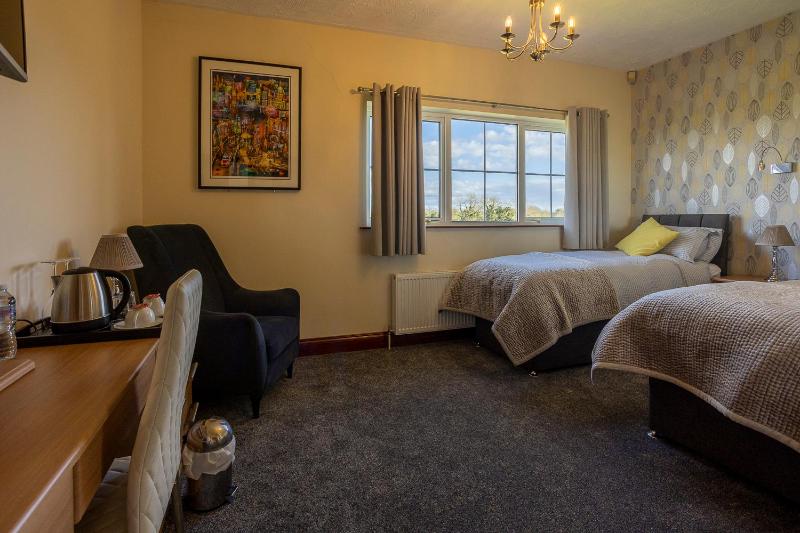 Deluxe Double or Twin Room with Shower image 1