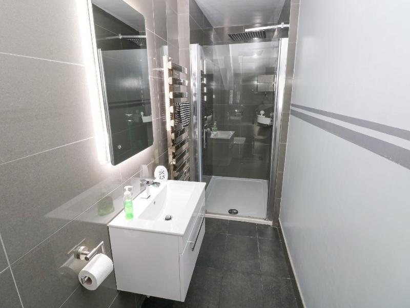 Apartment 4 - image 17