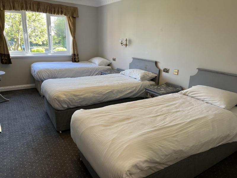 Standard Triple Room image 2