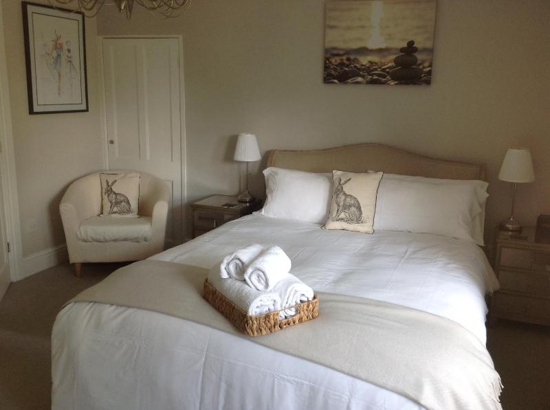 Deluxe King Suite image 1