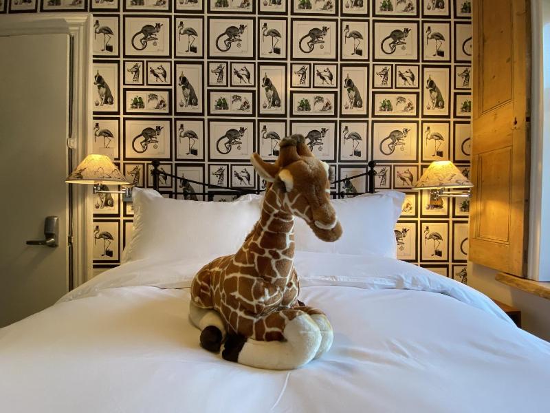 Standard Double Room image 2