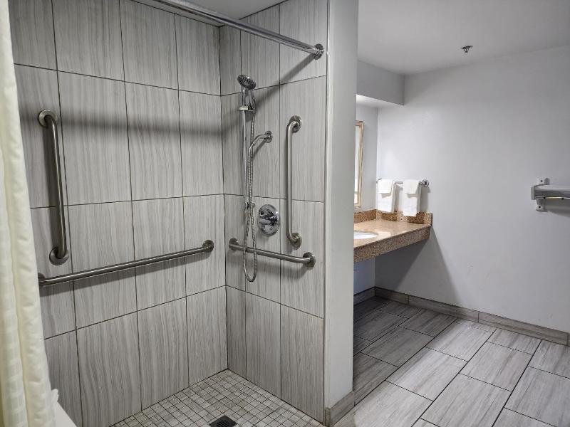 Queen Room - Disability Access - Roll in Shower image 4