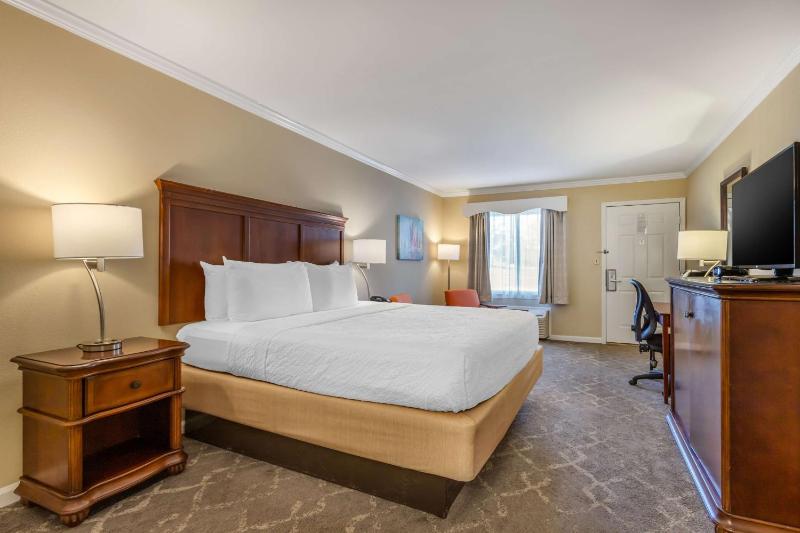 King Room - Non-Smoking image 3