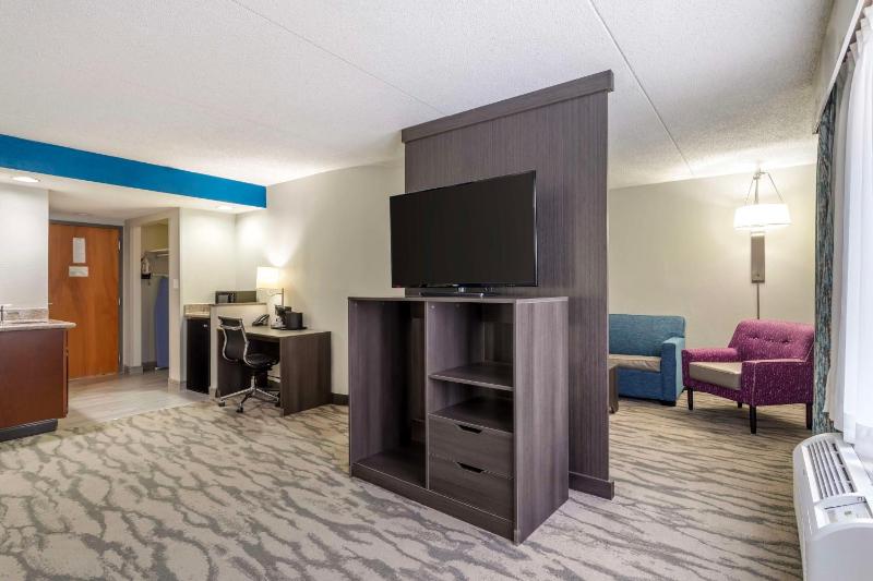 King Suite with Sofa Bed - Non-Smoking image 3