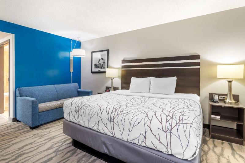 King Room with Roll-In Shower - Disability Access image 1