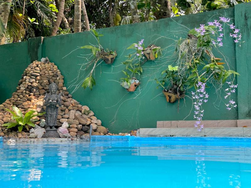 Swastha Ayurveda Villa - image 41