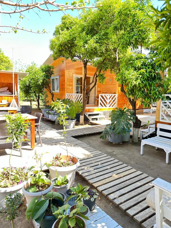 Bungalow with Garden View image 4