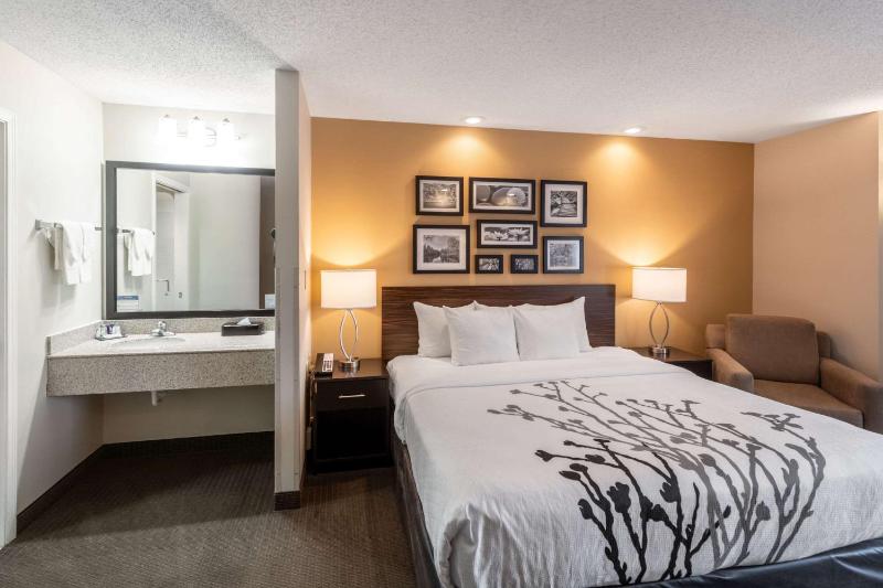 King Room - Non-Smoking image 1