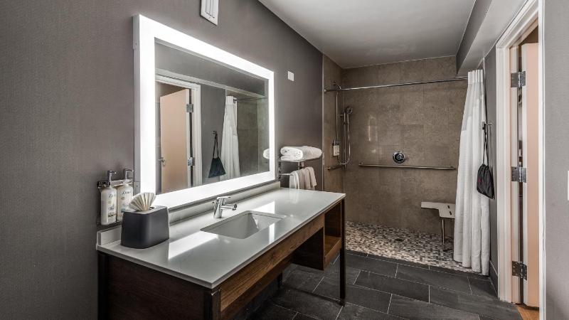 Premium Suite image 3