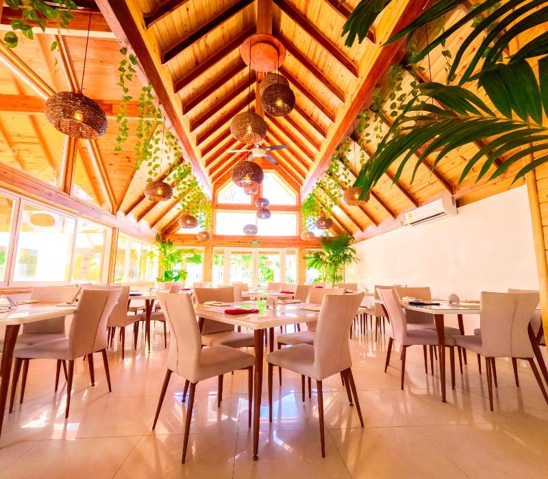 Hotel Caribbean Coral - image 44