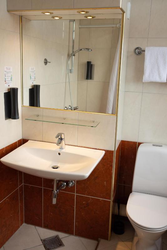 Double or Twin Room with Extra Bed image 3