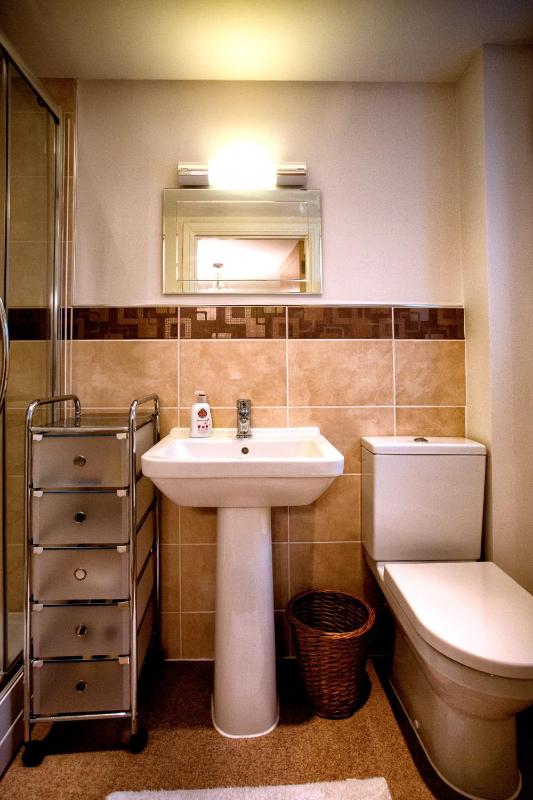 Two-Bedroom Apartment image 4