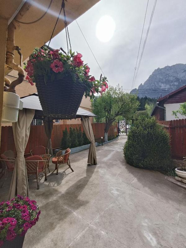 Apartment with Mountain View image 4