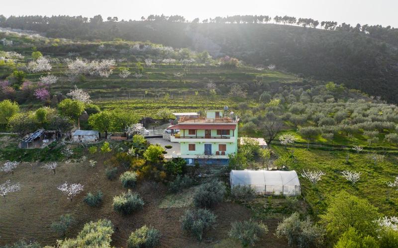 Vila Dean - image 1