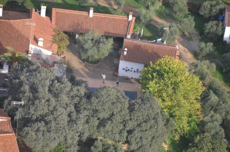 Family Bungalow image 3