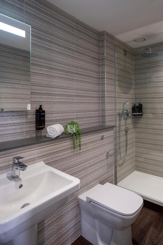 Deluxe Single Room image 2