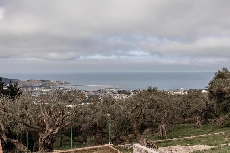 Olive Grove Luxury with private POOL - image 12