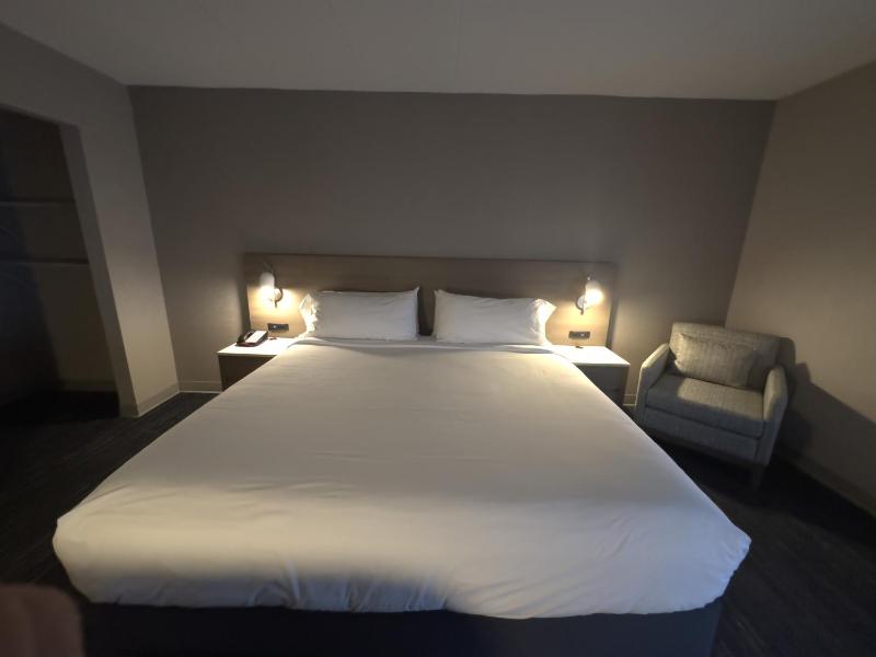 Deluxe King Room - Non-Smoking image 1