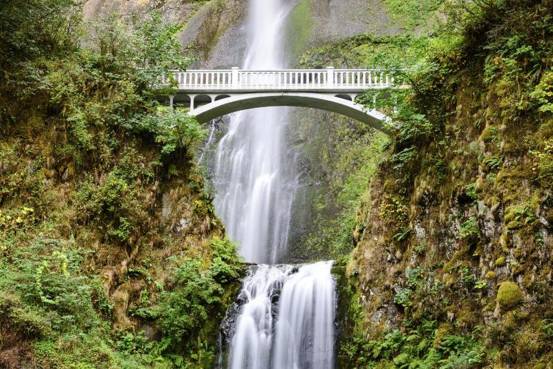Silver Cloud Hotel - Portland - image 24