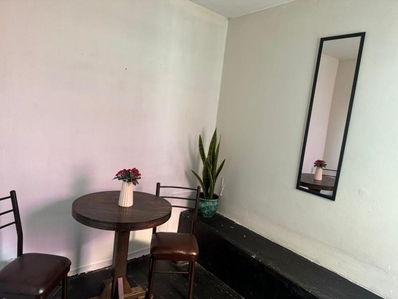 Maison Verte - Budget Edition - image 13