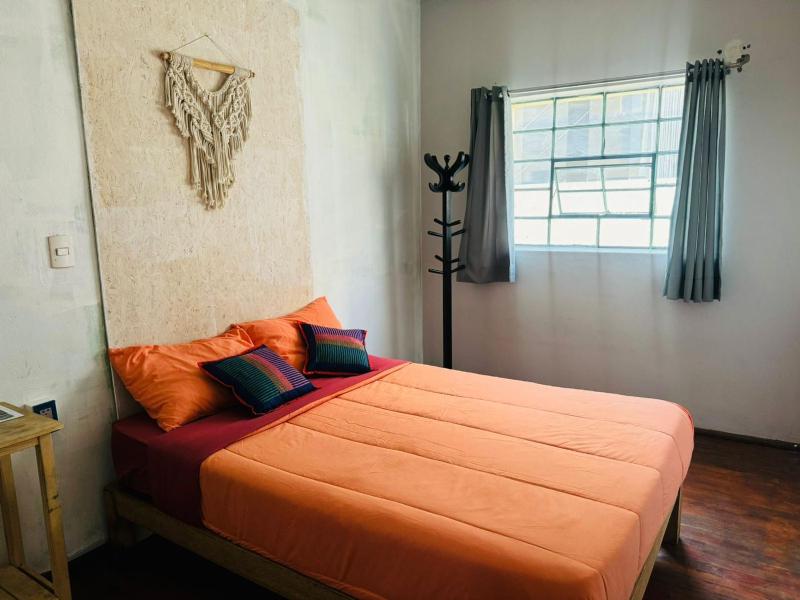Maison Verte - Budget Edition - image 15