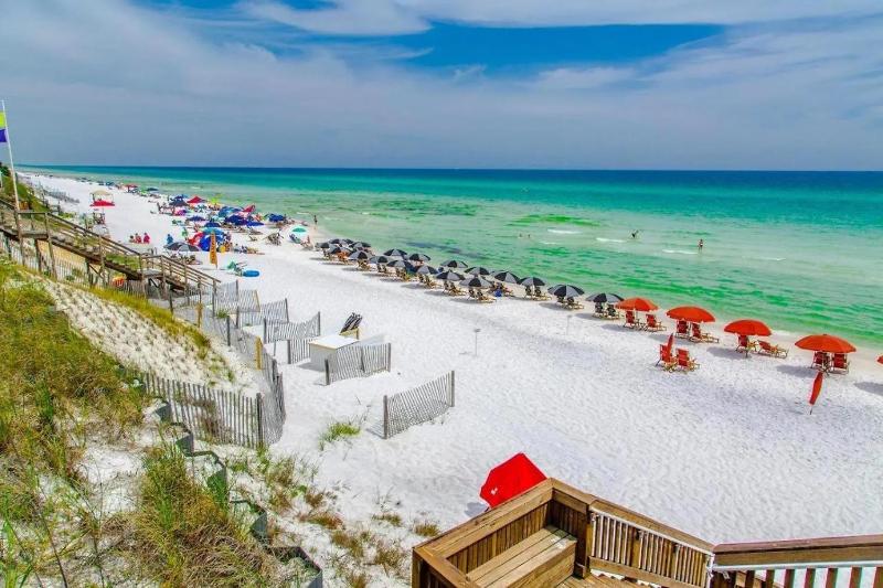 Gulf Front Stunning Views! Newly Renovated! Dolphin Watch #1 - image 2
