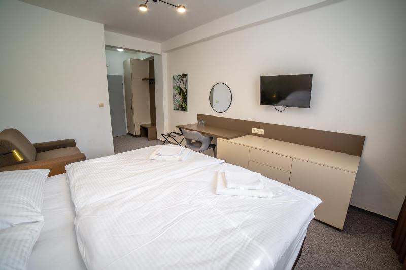Deluxe Double or Twin Room image 2