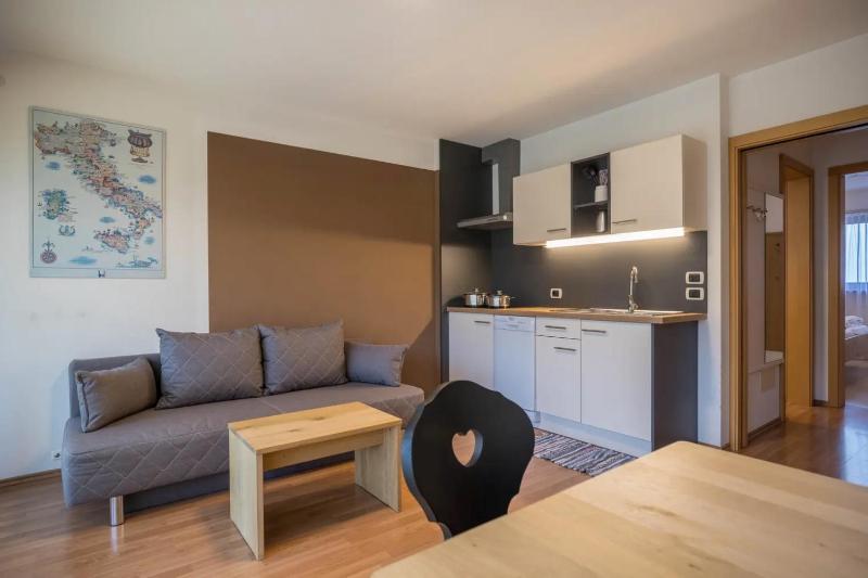 One-Bedroom Apartment image 2