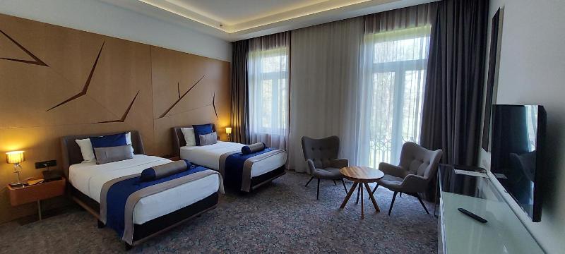 Deluxe Twin Room image 3