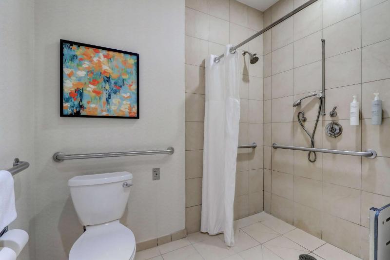King Room with Roll-In Shower - Mobility Access image 3