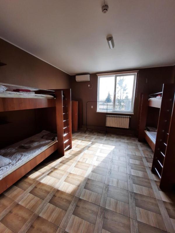Bunk Bed in 10-Bed Mixed Dormitory Room image 3