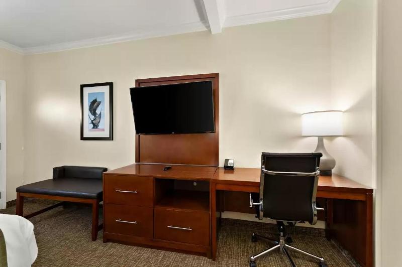 King Suite - Non-Smoking image 2